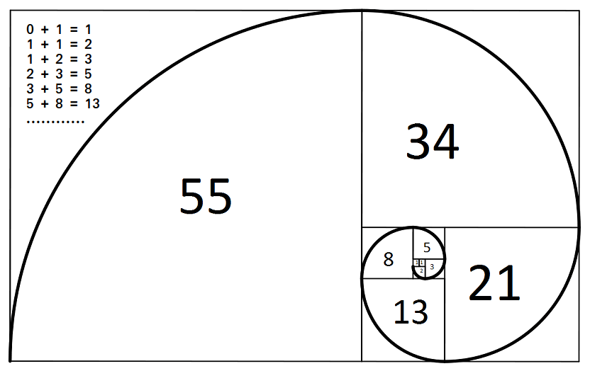 fibonacci-sequence-mathematics-content-raj